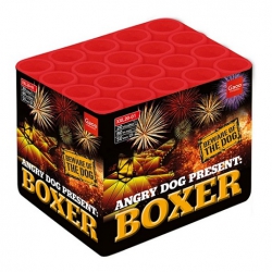 BOXER XXL25-01